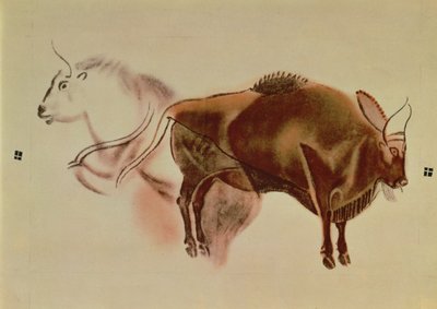 Copy of a Rock Painting of Two Bison by English School